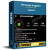 Phronesis KnightFX Course