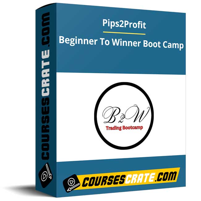 Pips2Profit – Beginner To Winner Boot Camp 1 Pips2Profit – Beginner To Winner Boot Camp