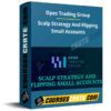 Opes Trading Group – Scalp Strategy And Flipping Small Accounts Opes Trading Group – Scalp Strategy And Flipping Small Accounts