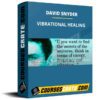 DAVID SNYDER – VIBRATIONAL HEALING DAVID SNYDER – VIBRATIONAL HEALING