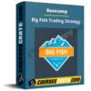 Basecamp – Big Fish Trading Strategy Basecamp – Big Fish Trading Strategy