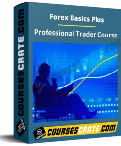 Forex Basics Plus – Professional Trader Course