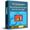 Hari Swaminathan – Get to know the VIX Index (aka The Fear Index) Hari Swaminathan – Get to know the VIX Index (aka The Fear Index)