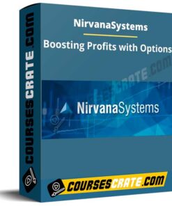 Nirvanasystems – Boosting Profits with Options
