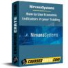Nirvanasystems – How to Use Economic Indicators in your Trading Nirvanasystems – How to Use Economic Indicators in your Trading