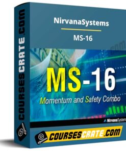 Nirvanasystems – MS-16