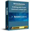 Nirvanasystems – Profiting with E-mini Contracts in Real Time Nirvanasystems – Profiting with E-mini Contracts in Real Time