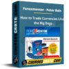 Peter Bain – Trade Currencies Like The Big Dogs Peter Bain – Trade Currencies Like The Big Dogs