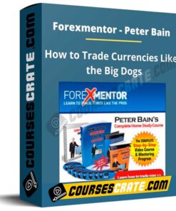 Peter Bain – Trade Currencies Like The Big Dogs