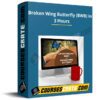 Broken Wing Butterfly (BWB) in 3 Hours Broken Wing Butterfly (BWB) in 3 Hours
