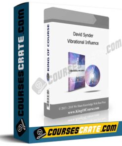 David Synder – Vibrational Influence