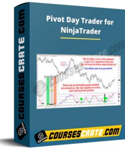 Pivot Day Trader for NinjaTrader